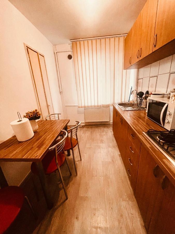 Ultracentral Big Apartment - Near The Opera Square P17 ティミショアラ エクステリア 写真