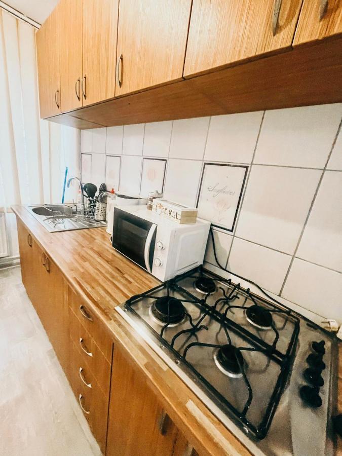Ultracentral Big Apartment - Near The Opera Square P17 ティミショアラ エクステリア 写真