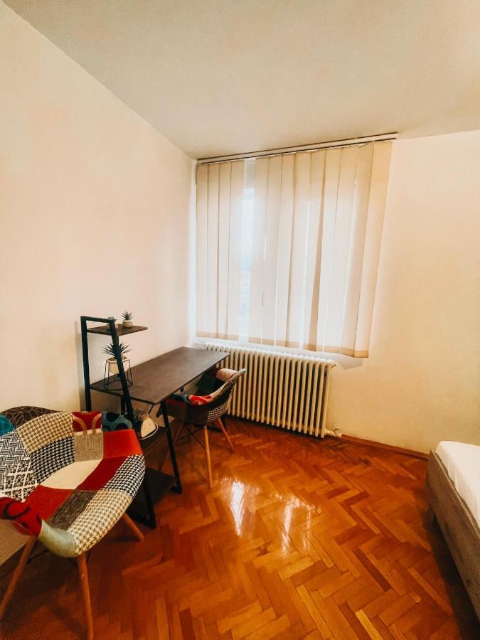 Ultracentral Big Apartment - Near The Opera Square P17 ティミショアラ エクステリア 写真