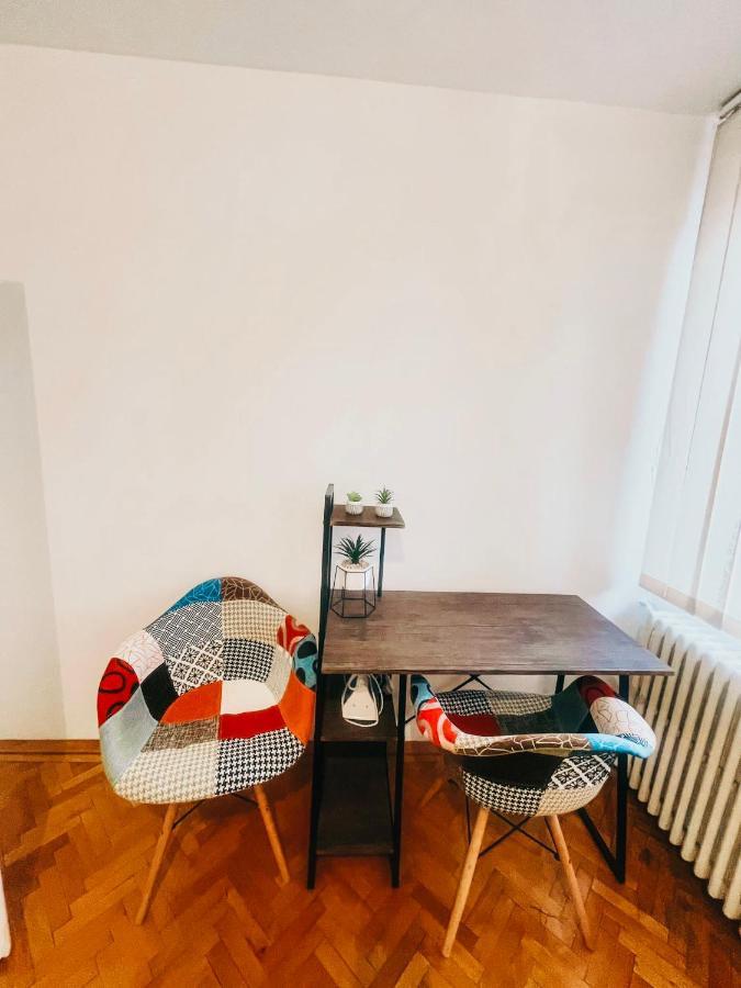 Ultracentral Big Apartment - Near The Opera Square P17 ティミショアラ エクステリア 写真