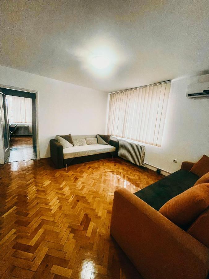 Ultracentral Big Apartment - Near The Opera Square P17 ティミショアラ エクステリア 写真