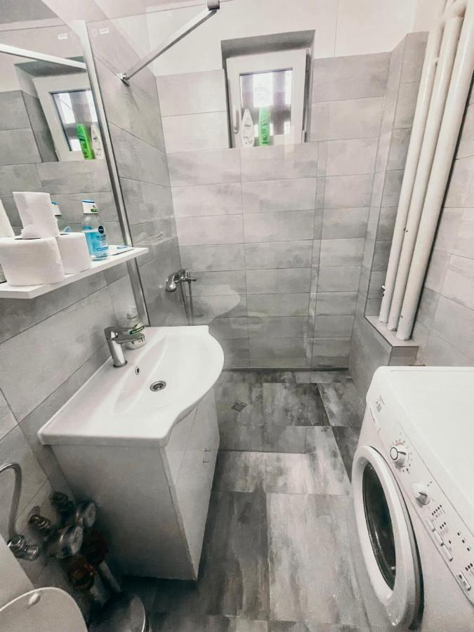 Ultracentral Big Apartment - Near The Opera Square P17 ティミショアラ エクステリア 写真