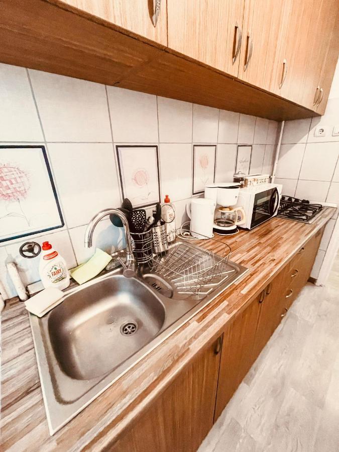 Ultracentral Big Apartment - Near The Opera Square P17 ティミショアラ エクステリア 写真