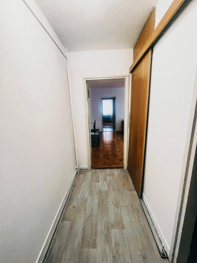 Ultracentral Big Apartment - Near The Opera Square P17 ティミショアラ エクステリア 写真