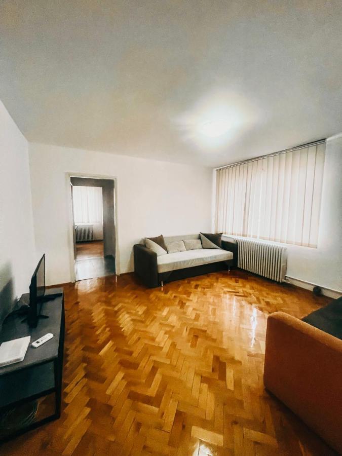 Ultracentral Big Apartment - Near The Opera Square P17 ティミショアラ エクステリア 写真