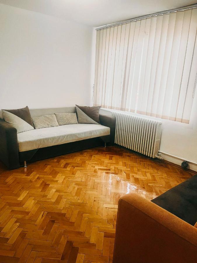 Ultracentral Big Apartment - Near The Opera Square P17 ティミショアラ エクステリア 写真