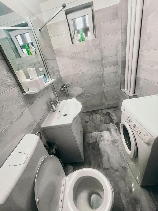 Ultracentral Big Apartment - Near The Opera Square P17 ティミショアラ エクステリア 写真