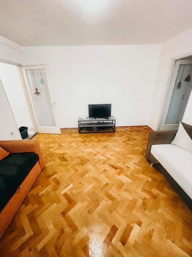 Ultracentral Big Apartment - Near The Opera Square P17 ティミショアラ エクステリア 写真