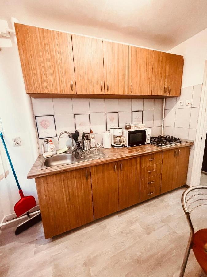 Ultracentral Big Apartment - Near The Opera Square P17 ティミショアラ エクステリア 写真