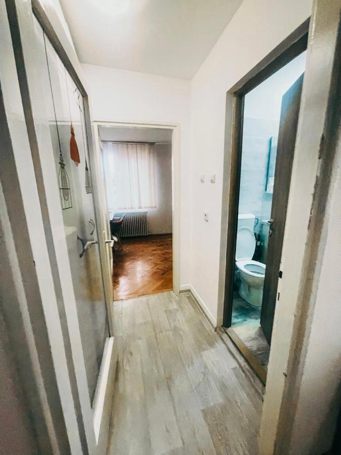 Ultracentral Big Apartment - Near The Opera Square P17 ティミショアラ エクステリア 写真